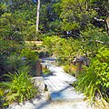 Wooden Plank Bridge over Creek