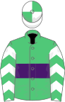 Emerald green, purple hoop, white and purple chevrons on sleeves, white and emerald green quartered cap