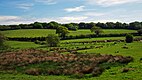 Combe Valley Countryside Park