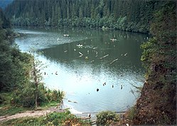 Pohled na jezero - v popředí hráz vzniklá sesuvem půdy