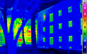 Thermographie d'un BBC