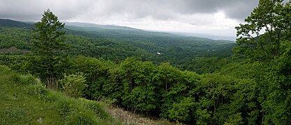 北八ヶ岳連山の西側に広がる蓼科高原