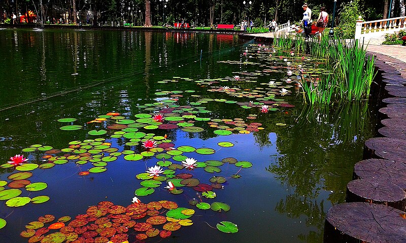 File:(62) GORKY PARK IN CITY OF KHARKIV STATE OF UKRAINE PHOTOGRAPH BY VIKTOR O LEDENYOV 20160621.jpg