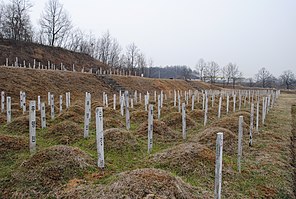 Heldenfriedhof.