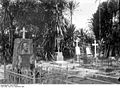 A German cemetery in Kamerun.