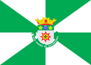 Drapeau de São Pedro de Alcântara