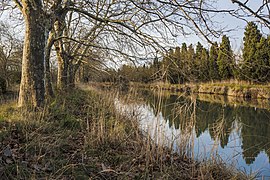 Canal du Midi, Vias 2018 (05).jpg