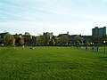 Virginia Tech's drillfield