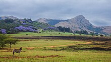 Mantenga nature reserve (37097743884).jpg