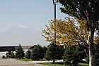 Row of memorial trees planted by foreign dignitaries