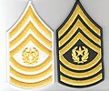 Command sergeant major