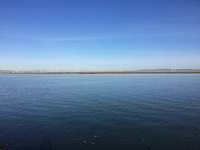 Across shimmering blue water, a flat stripe of dark vegetation can be seen beneath calm skies.