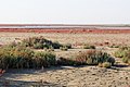 Sand dunes