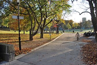 Höst i Vasaparken, 2008.