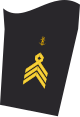 Dienstgradabzeichen eines Oberstabsbootsmannes (30-er Verwendungsreihe) auf dem Unterärmel der Jacke des Dienstanzuges für Marineuniformträger