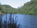 Längsee