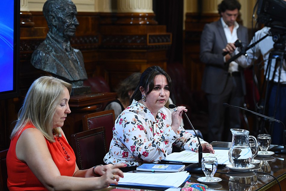 Senadora Ana Claudia Almirón 18 de Febrero de 2020.jpg