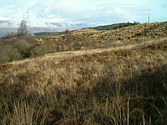 Moorland and forest - geograph.org.uk - 123215.jpg