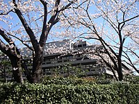 National Diet Library Japan (Tokyo, Japan)