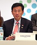 Ong Ye Kung