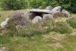 Image illustrative de l’article Dolmen de l'Île Renote