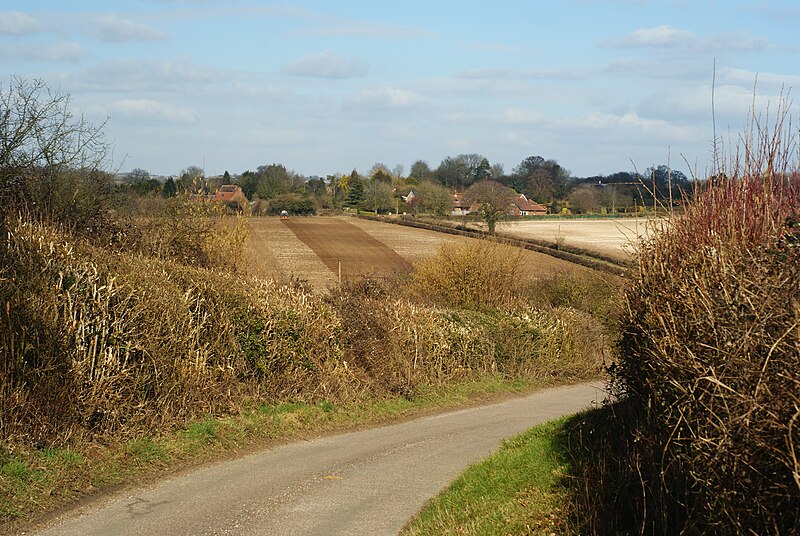 File:Farmland at Gundleton, Hampshire - geograph.org.uk - 1746627.jpg