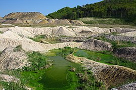 Green lagoon - panoramio.jpg