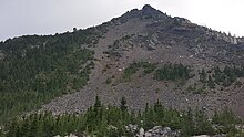 Mountain goats seen on the bare, rocky slope of the volcano, to the right of a forested area