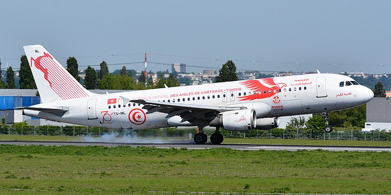 File:Airbus A320-200 - TS-IML "Aigles de Carthage" - TunisAir - 46945719955.jpg