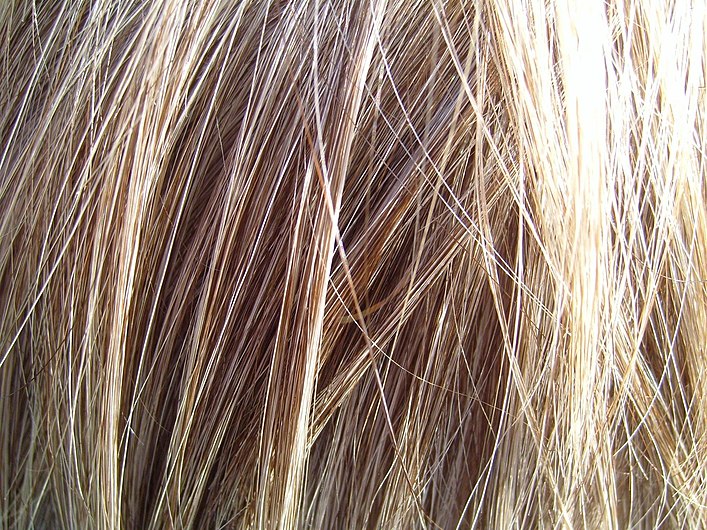 Blonde hair detailed.jpg