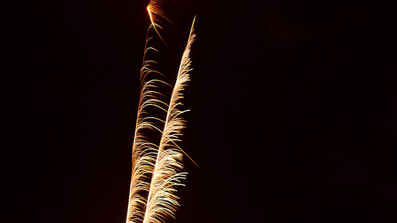 File:Fireworks (6613873449).jpg