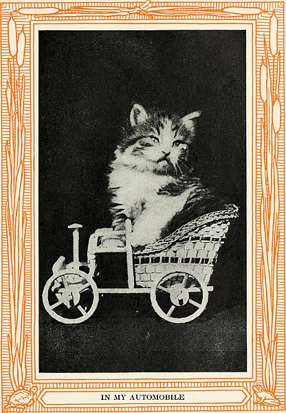 File:Kittens and cats; a book of tales (1911) (14566397208).jpg