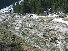 photo d'une vallée après une avalanche, la coulée de neige est rendue verte par les branches de sapins arrachées, une maison est à moitié ensevelie sous la neige