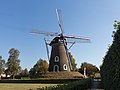 Lieshout, moulin: windmolen de Lees