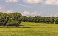 * Nomination Location, Lendevallei in Netherlands. Hedgerow landscape. --Famberhorst 15:26, 19 August 2016 (UTC) * Promotion Good quality. --Poco a poco 16:54, 19 August 2016 (UTC)