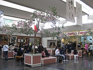 Open space in Kinokuniya Mall (2010)