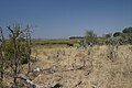 Landschaft im Bwabwata-Nationalpark