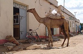 Maisons dans la ville érythréenne de Barentu.