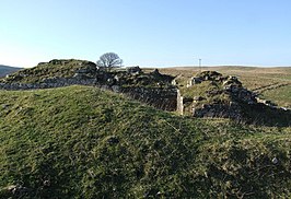 Ruïnes van Dally Castle