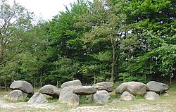 Hunebed (dolmen) D1 [nl] near Steenbergen