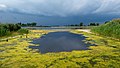 Image 29Jamaica Bay Wildlife Refuge East Pond