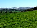 Elah Valley, en route to Tel Socho