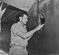 Image 381st Lt. Louis Zamperini, peers through a hole in his B-24D Liberator 'Super Man' made by a 20mm shell over Nauru, 20 April 1943. (from History of Tuvalu)