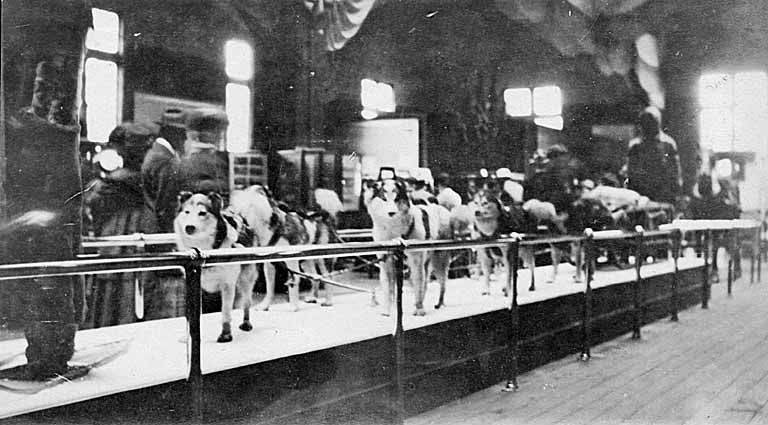 File:Post Office dogsled exhibit inside the Government Building, Alaska-Yukon-Pacific-Exposition, Seattle, Washington, 1909 (AYP 783).jpg