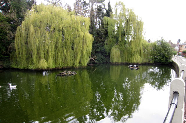 File:Clifton village pond - geograph.org.uk - 2894265.jpg