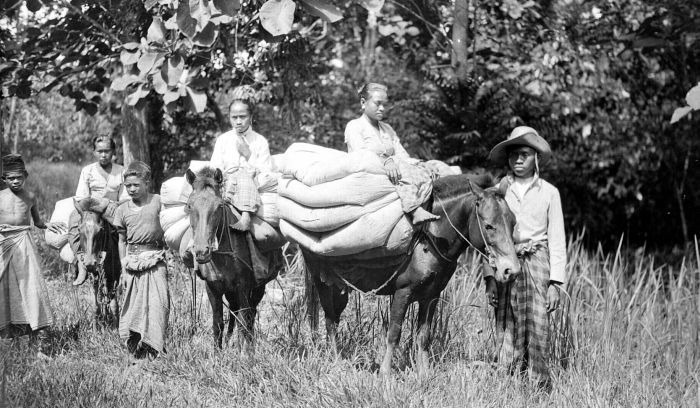 File:COLLECTIE TROPENMUSEUM Adellijke vrouwen te paard op het eiland Muna bij Celebes. Het aantal kussens waar zij op zitten geven hun stand aan - TMnr 10001651.jpg