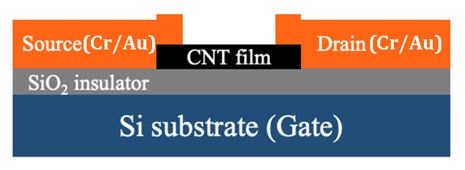 File:CNT-FET diagram side.jpg