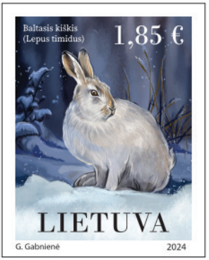 File:2024 Lepus timidus stamp.png