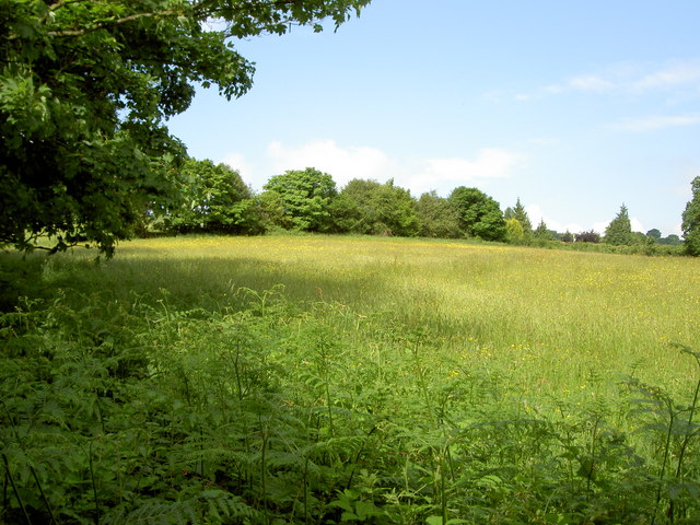 File:Farmland near Hope - geograph.org.uk - 833397.jpg