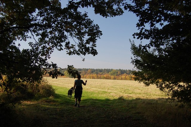 File:Field and Woodland View From Path Round Marks Hall - geograph.org.uk - 1003542.jpg